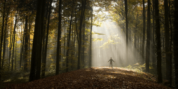 Human in the woods, photo by Martin Gommel