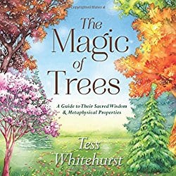 The Magic of Trees by Tess Whitehurst